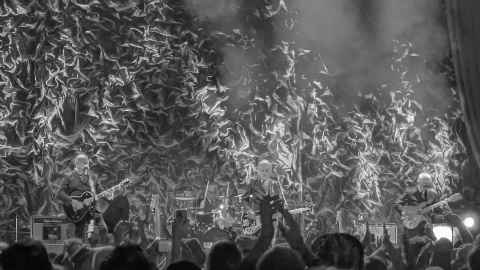 The Searchers at Glastonbury