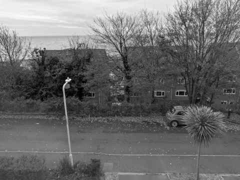 Mystery cones on our street